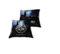 NEW IMPORT Cojin 35x35cm de Harry Potter