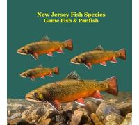New Jersey Game Fish and Panfish Species Kids Book: Great Book About the Different Types of Fish in New Jersey