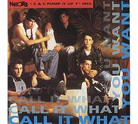 New Kids On The Block - Call it what you want (1990) / Vinyl single [Vinyl-Single 7'']