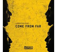 new kingston - A Kingston Story : Come From Far [Vinilo]