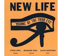 New Life Trio - Visions of The Third Eye [Vinilo]