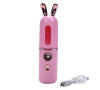 New Mini USB Rechargeable Nano Facial Hydrator Sprayer Women Beauty In