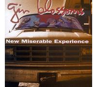 New Miserable Experience by Gin Blossoms (1992) Audio CD