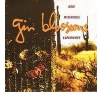 New Miserable Experience [Rare Cover Edition]