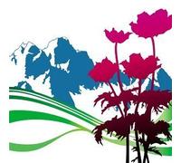 New Order - International: Best of New Order by New Order Limited Edition edition (2003) Audio CD