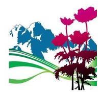 New Order - lnternationaI