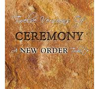 New Order =tribute= - Twelve Versions of..