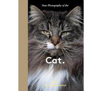 New Photography of the Cat.: The best new photography of cats.