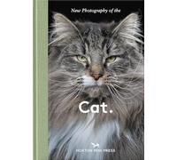 New Photography of the Cat.: The best new photography of cats.