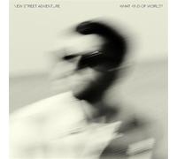 New Street Adventure Feat. Nick Corbin - What Kind of World?