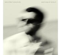 New Street Adventure Feat. Nick Corbin - What Kind of World? [Vinilo]