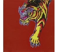 New Terror Class - Did You Hear That We Fucked