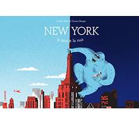 New York : le jour et la nuit