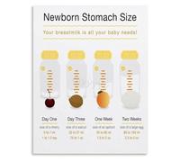 Newborn Milk Intake Guide Poster Stomach Size Increase Chart Canvas Wall-Art(Unframed,16x24inch(40x60cm))