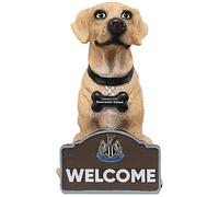 Newcastle United FC Labrador GNOME