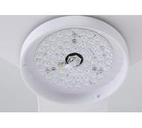 Newday Reemplazo del ventilador de techo LED DY1043T, DY1235T
