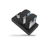 Newell Cargador Doble DL-USB-C para DMW-BLF19