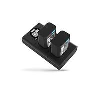 Newell Cargador Doble DL-USB-C para NP-FW50