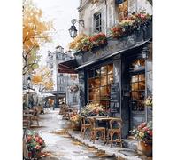 NEWENMO Café de París Pintar por Numeros Adultos,Vista Urbana Pintura por Numeros Kit,DIY Paisaje Paint by Numbers Kits,con Pinceles y Pigmento Acrílico,para Principiantes Hogar Decoracion 40x50cm