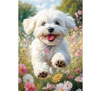 NEWENMO DIY Blanco Cachorro Diamond Painting Adultos Kit,Campos de Flores Pintura de Diamantes,5D Paisajes Diamond Art Kit,Bricolaje Dibujo con Diamantes,para Principiantes Decoración Hogar 30x40cm