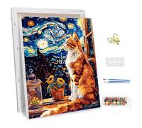 NEWENMO Lindo Gato Naranja y Blanco Pintar por Numeros con Marco,Cielo Estrellado Pintura por Números para Adultos,DIY Pintura al Óleo Kit,Easy Paint by Numbers,para Decoracion Hogar 30x40cm