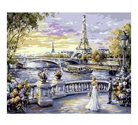 NEWENMO Torre Eiffel Pintar por Numeros Adultos Kits,Belleza de París Pintura por Numeros Kit,Easy Paint by Numbers Adult,con Pinceles y Pigmento Acrílico,Decoración para Hogar,Sin Marco-40x50cm