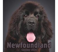 Newfoundland Calendar 2026: 14-Month Organizer from Nov 2025 to Dec 2026 | Perfect for Home, Office, School & Family Scheduling, For Men , Women , Girls , Boys