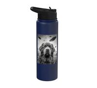 Newfoundland UFO Stainless Steel Insulated Water Bottle