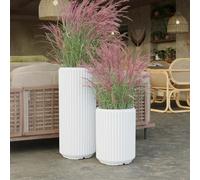 newgarden - Macetero Redondo Maranta Muy Resistente al Exterior Hecho de Polietileno en España. (Blanco, 30x70 cm)