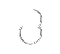 NewkeepsR 0.6mmx5mm Aro de titanio con bisagra tipo segmento clicker sin costuras para la nariz, pendiente de trago y cartílago transversal para mujer