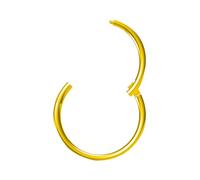 NewkeepsR Oro 0.6mmx8mm Aro de titanio con bisagra tipo segmento clicker sin costuras para la nariz, pendiente de trago y cartílago transversal para mujer