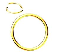 NewkeepsR Oro 0.8mmx6mm Aro de titanio con bisagra tipo segmento clicker sin costuras para la nariz, pendiente de trago y cartílago transversal para mujer