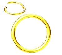 NewkeepsR Oro 1.6mmx8mm Aro de titanio con bisagra tipo segmento clicker sin costuras para la nariz, pendiente de trago y cartílago transversal para mujer