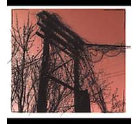 Newman - Accidents With Nature and Each Othe