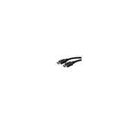 NewStar - Cable Vídeo/Audio - HDMI - HDMI 19 pin…