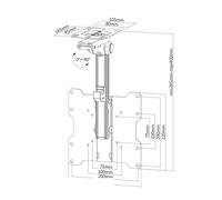 Soporte de techo - NewStar - FPMA-C020BLACK - Inclinable - Pivotante - 10" a 40"