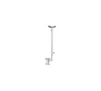NEWSTAR Soporte de Techo para Pantalla Plasma/LCD FPMA-C050SILVER - Inclinación y Rotación) - Plata - Pantalla: 10"-30"