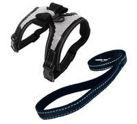 Newtensina 2 Piezas Pajaritas Bling Lindo Perro arnes con Correa para Perro - Negro - S