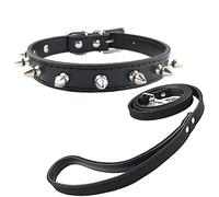 Newtensina Collar de Cachorros de Moda y Correa con Pernos Collar de Perro Tachonado de Puntas con Correa para Perros pequeños