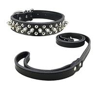Newtensina Collar de Perro con Correa Guay Collar de Perro Punk y Correas para Perros