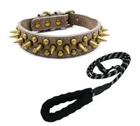 Newtensina Collar de perro con tachuelas y correa con remache retro para perros pequeños, medianos y grandes (0062), color gris, talla S