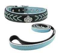 Newtensina Collar y Correa de Perro de Moda Conjunto de Correas de Nylon Collar Tejido Collar de Perrito de Diamante con Correa para Perros medianos Perros Grandes
