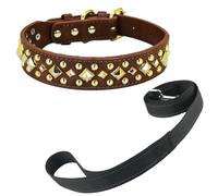 Newtensina Collar y correa para perro con tachuelas antimordeduras con pincho cuadrado dorado para perros pequeños y grandes (0013), marrón, XL