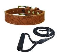 Newtensina Collar y correa vintage para perro, collar de flores en relieve con correa para perros pequeños y medianos (0095), marrón, XL