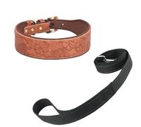 Newtensina Collar y correa vintage para perro, collar para mascotas con flores en relieve, algodón acolchado para perros pequeños y medianos (0099), marrón, L