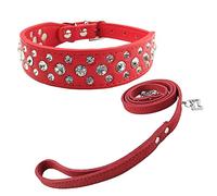 Newtensina Conjunto de Collar y Correa de Perro de Moda - Collar de Cachorros Bling Con Diamantes Lindos