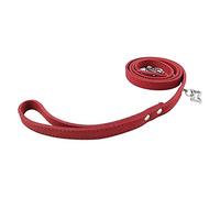 Newtensina Correas para Mascotas de Mascotas Lindas Microfibra Correas para Perros pequeños - 4 pies