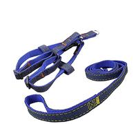 Newtensina Moda Perro arnés y Correa Set Tela de Mezclilla Perrito arnés con Correa para Perro - Blue - M