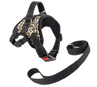 Newtensina Moda reflexivo Perro arnes Grande con Correa Respirable Malla de Nylon arnes Correa Set para Perro