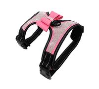 Newtensina Pajaritas Perro arnes con Diamante - Rosa - S